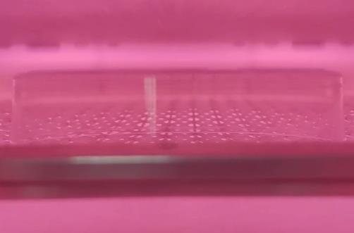 真空等離子清洗機