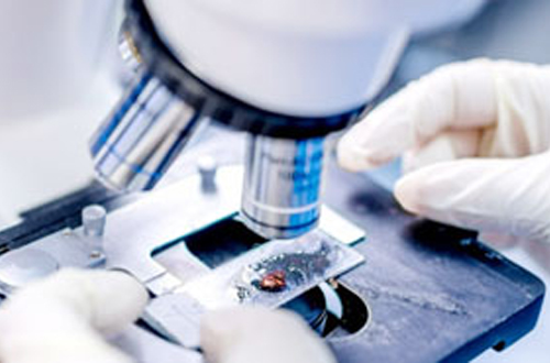 醫(yī)療設(shè)備制造領(lǐng)域